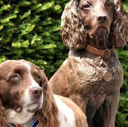 Max the Miracle Dog a dévoilé une statue en bronze à Keswick
