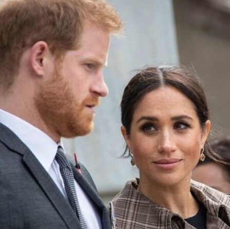 Meghan Markle «a fait preuve d'une énorme quantité de planification et d'ambition» en épousant le prince Harry