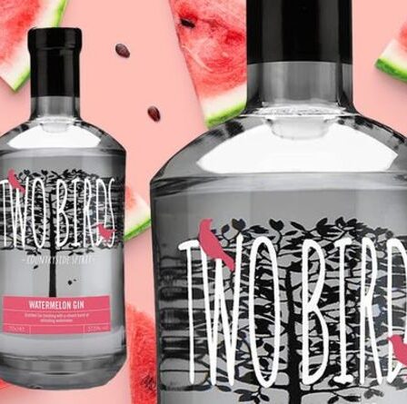 « Meilleur gin que j'ai jamais eu » - Ce gin à la pastèque frais et juteux est en vente maintenant