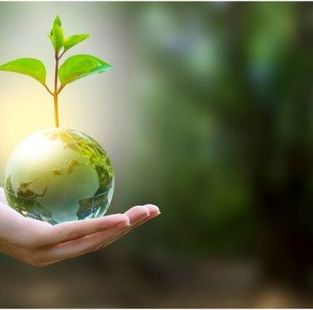 Meilleurs conseils : comment investir de manière durable et alimenter le changement dans le monde