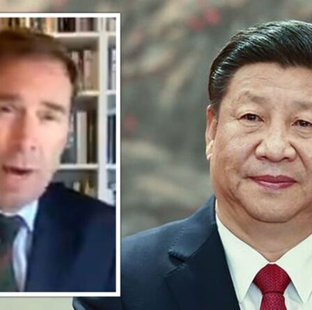 Mer de Chine méridionale: Pékin deviendra "plus grand que les États-Unis" - un député prévient que le Royaume-Uni n'a pas de plan