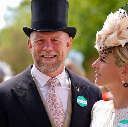 Mike Tindall le héros !  Zara essuie le sang alors que Mike interrompt le combat de Wembley entre fans