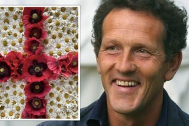 Monty Don: Gardener partage la "bonne chance florale" pour l'équipe d'Angleterre avant la finale de l'Euro 2020