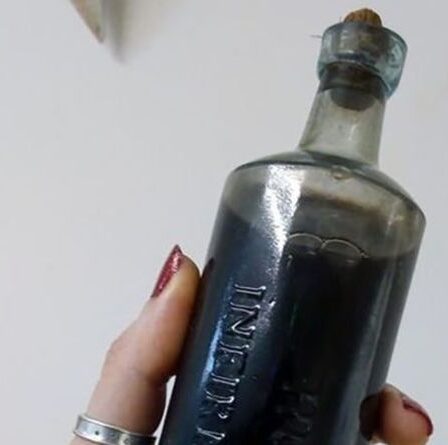 Mystérieuse bouteille de liquide trouvée entre les jambes d'un squelette enterré