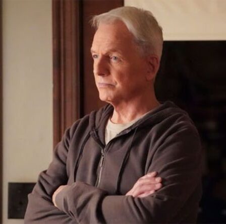 NCIS saison 19: les fans se déchaînent au premier regard sur le nouveau script "C'est très excitant"