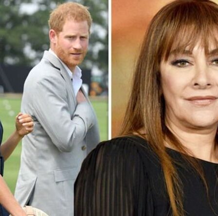 « N'aérez pas le linge sale ! »  Harry et Meghan "mal avisés" affirment que Marina Sirtis de Star Trek