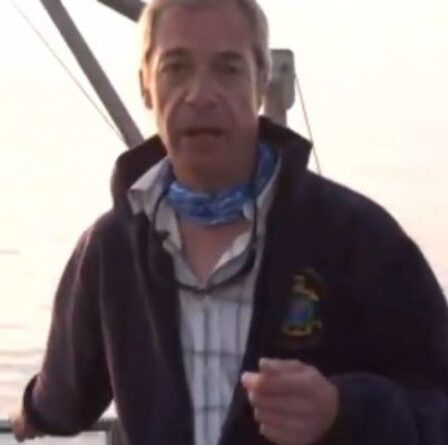 Nigel Farage éclate à Patel pour avoir fait de la spéléologie en France "Tout ce qu'elle a fait, c'est leur donner 50 millions de livres sterling supplémentaires"