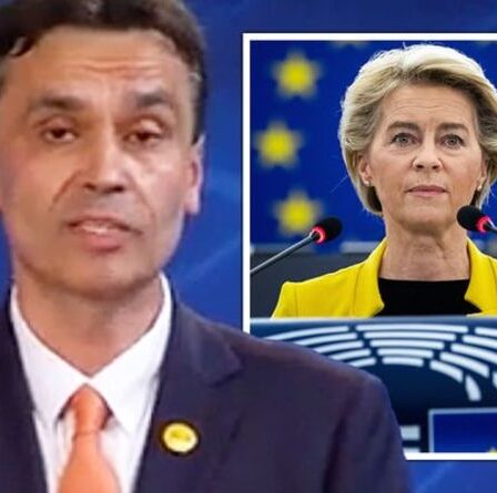 "Nous n'abandonnerons jamais" Les rebelles bulgares anti-UE s'engagent à être une énorme épine dans le pied de Bruxelles