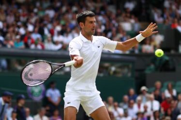 Novak Djokovic fait une demande à Wimbledon après la victoire de Cristian Garin