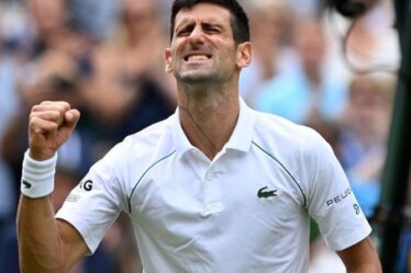 Novak Djokovic pourrait être très inquiet à Wimbledon malgré sa demi-finale