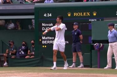 Novak Djokovic "se sent irrespectueux" en finale de Wimbledon après avoir affronté la foule