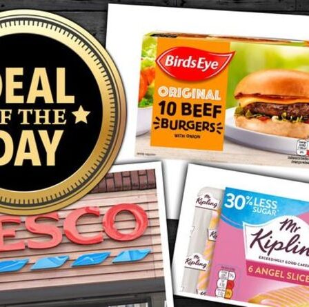 OFFRE DU JOUR : les acheteurs de Tesco peuvent obtenir des offres sur les aliments pour barbecue, les desserts, les glaces et plus encore