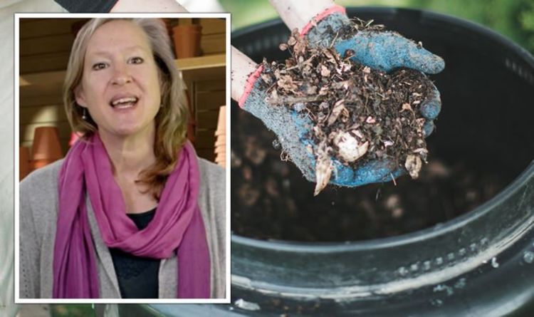 « Obtenez des rats ! »  Un expert en jardinage met en garde contre la nourriture dans les bacs à compost – «même les coquilles d'œufs»