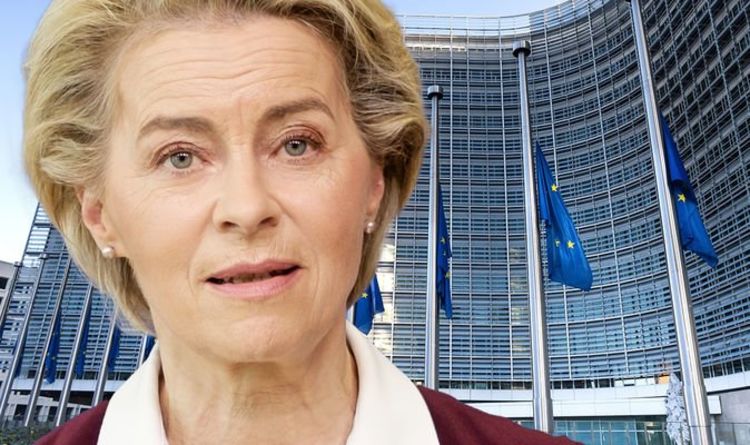 Oh mon Dieu, l'UE !  Plus d'un tiers des citoyens insatisfaits de l'état de la démocratie en bloc