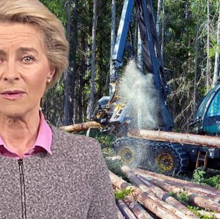 On ne dicte pas ! L'UE panique alors que la Suède est furieuse de "tenter d'influencer la politique nationale"