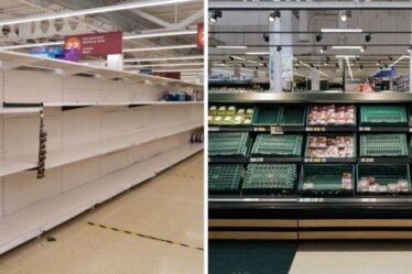 « Où est-il ? » : les étagères des supermarchés seront vides «dans des semaines» à moins que « pingdemic » ne soit résolu