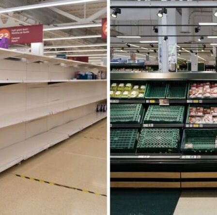 « Où est-il ? » : les étagères des supermarchés seront vides «dans des semaines» à moins que « pingdemic » ne soit résolu
