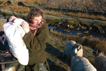 Our Yorkshire Farm : Pourquoi Amanda Owen quitte-t-elle Ravenseat ?