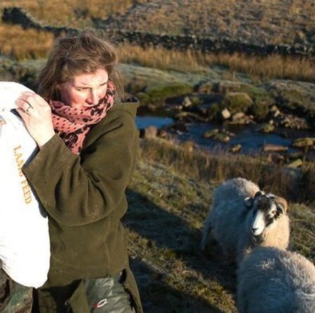 Our Yorkshire Farm : Pourquoi Amanda Owen quitte-t-elle Ravenseat ?