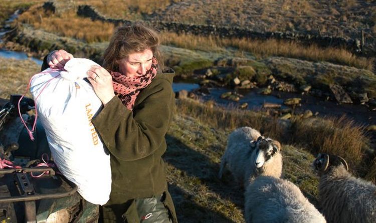 Our Yorkshire Farm : Pourquoi Amanda Owen quitte-t-elle Ravenseat ?