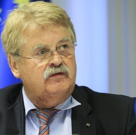 Penny tombe !  Un leader europhile s'en prend à Bruxelles dans une diatribe en colère: "L'UE perd de sa crédibilité"