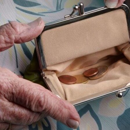 Pension de l'État : votre somme pourrait être affectée par l'épargne professionnelle ou personnelle - vérifiez maintenant