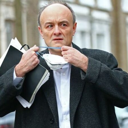 'Personne ne s'y intéresse!' Dominic Cummings a dit de « trouver un emploi » après avoir qualifié le discours de Boris de « merde »