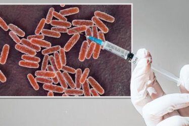 Peste noire: des scientifiques d'Oxford lancent des essais HUMAINS d'un vaccin contre la peste pour «combattre la maladie»