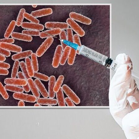 Peste noire: des scientifiques d'Oxford lancent des essais HUMAINS d'un vaccin contre la peste pour «combattre la maladie»