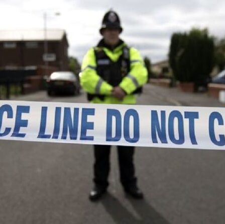 Poignardage à Woolwich: la police arrête un adolescent soupçonné de meurtre alors qu'un garçon de 15 ans décède