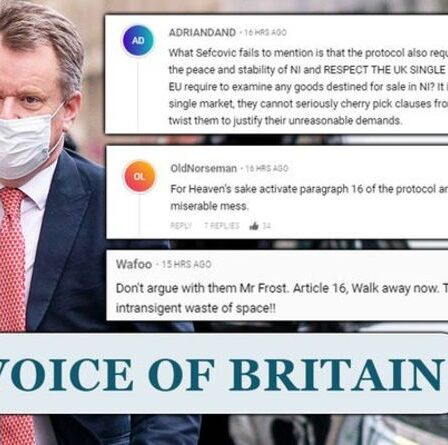 « Pour l'amour du ciel, mettez fin à tout ce gâchis ! » Frost pressé de déchirer l'accord sur le Brexit