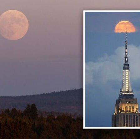 Pourquoi la Lune est-elle rouge ce soir ?  Un phénomène étrange est observé à travers les États-Unis – « rouge fou »
