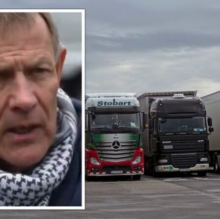 Prenez cette UE !  Un transporteur britannique exploitera la faille du Brexit après que l'UE ait rejeté les demandes du Royaume-Uni