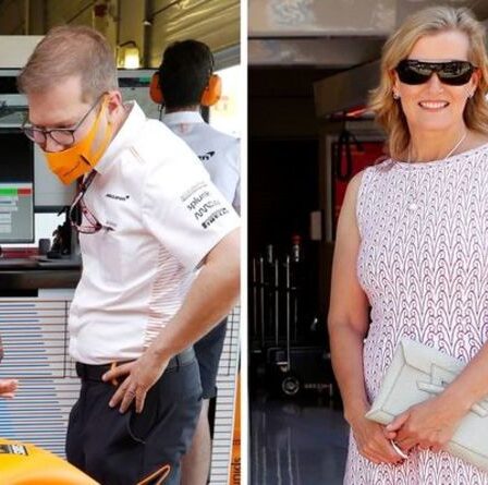 'Pretty in pink': Sophie, comtesse de Wessex 'superbe' en robe de 2 000 £ pour le Grand Prix