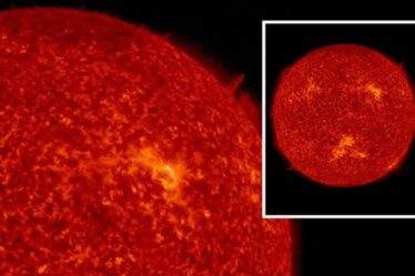 Prévisions de tempête solaire : une grande explosion de plasma du Soleil à « à peine » la Terre ce week-end