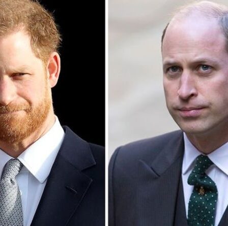 Prince Harry vs William: les livres des frères royaux exposent différents plans de jeu – expert