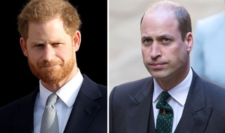 Prince Harry vs William: les livres des frères royaux exposent différents plans de jeu – expert