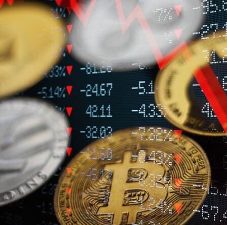 Prix ​​​​de la crypto-monnaie EN DIRECT: Bitcoin chute alors que les gains sont effacés - Musk's Dogecoin chute également