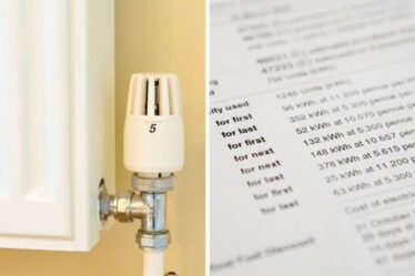 Propriété : Économisez 135 £ sur les factures d'énergie en changeant les radiateurs cet été - comment échanger