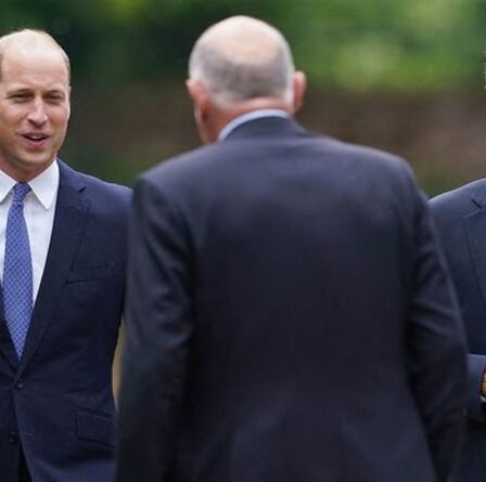 Querelle entre le prince Harry et William: un expert repère un pacificateur inattendu – et ce n'est pas Kate