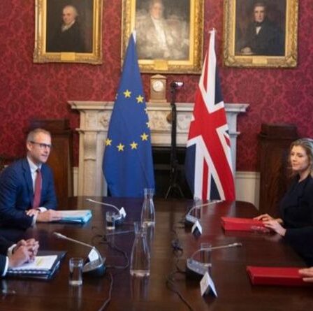 Qu'est-ce que l'article 16 du protocole d'Irlande du Nord ?  Pourquoi est-ce si controversé ?