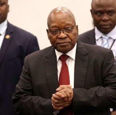 Qui est Jacob Zuma, l'ancien président sud-africain ?