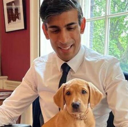 Rishi Sunak adopte un adorable nouveau chiot qui le rejoindra à Downing Street