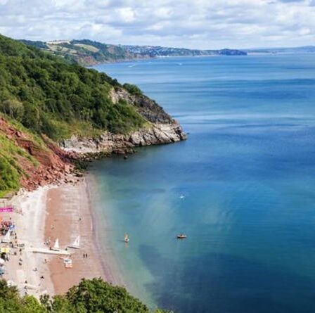 Riviera anglaise : que faire dans la réponse de l'Angleterre au sud de la France - conseils de séjour