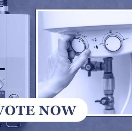 SONDAGE : Faut-il mettre au rebut les chaudières à gaz pour protéger l'environnement ?  VOTE