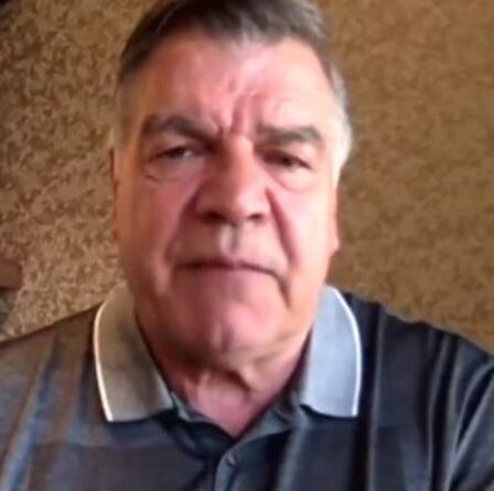 Sam Allardyce fait l'éloge du " brillant " Gareth Southgate - " rien ne s'est mal passé pour lui ! "