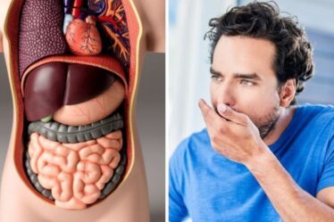 Santé intestinale : les 7 signes que VOTRE intestin est malsain