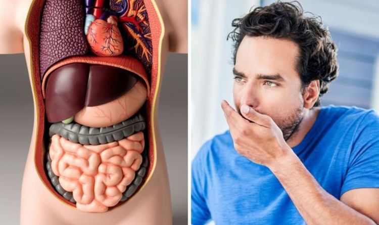 Santé intestinale : les 7 signes que VOTRE intestin est malsain