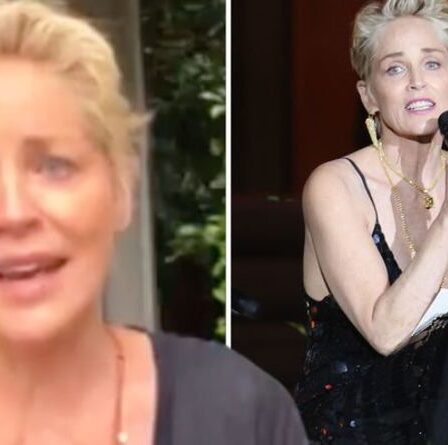Sharon Stone menacée de perdre son emploi après que le vaccin ait demandé "Je nous défends tous !"