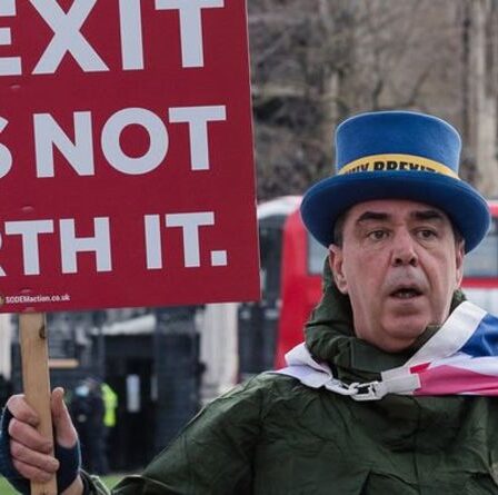 « Si je suis en prison... qu'il en soit ainsi ! »  Un militant anti-Brexit promet de défier les lois prévues sur les manifestations